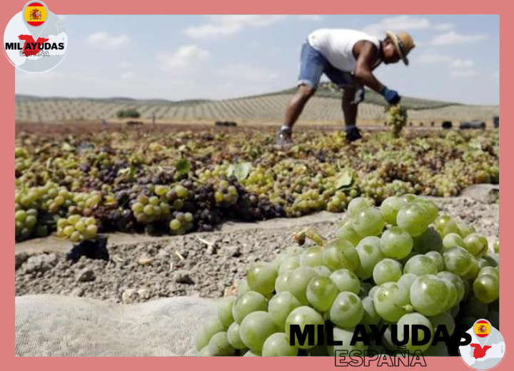 Guía Completa del Subsidio para Trabajadores Eventuales Agrarios: Requisitos y Trámites
