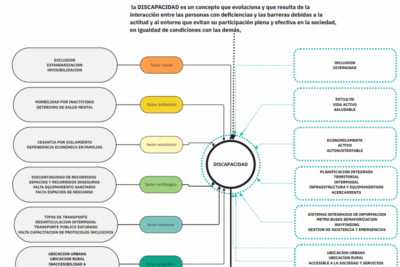 Alta en Seguridad Social para Autónomos con Discapacidad: Requisitos y Guía Paso a Paso