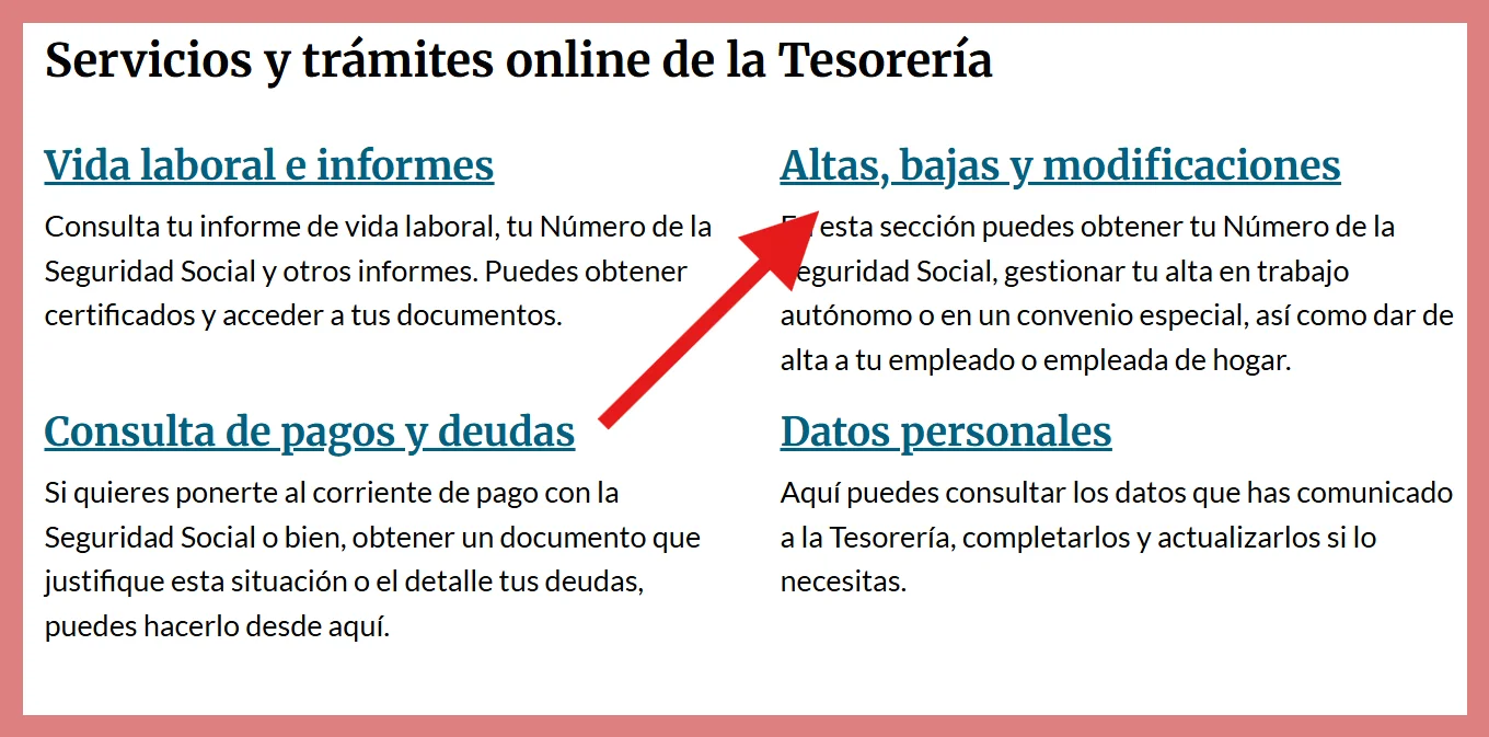 Alta en Seguridad Social para Autónomos con Discapacidad: Requisitos y Guía Paso a Paso