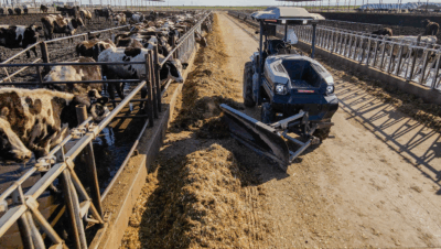 Ayudas para autónomos en agricultura ecológica sostenible: Guía completa de subvenciones