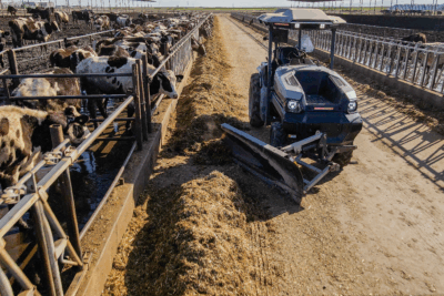 Ayudas para autónomos en agricultura ecológica sostenible: Guía completa de subvenciones