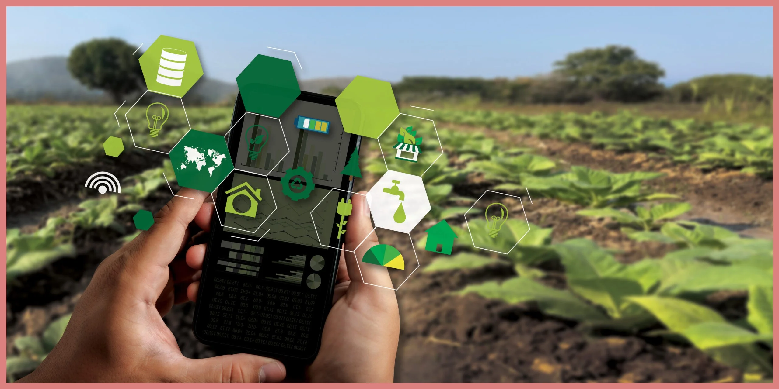 Ayudas para autónomos en agricultura ecológica sostenible: Guía completa de subvenciones