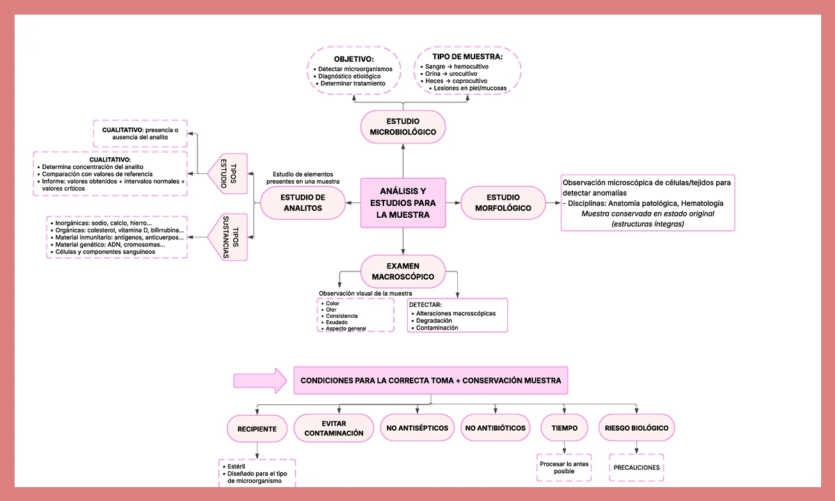 Bonificaciones y Beneficios en las Cotizaciones Sociales