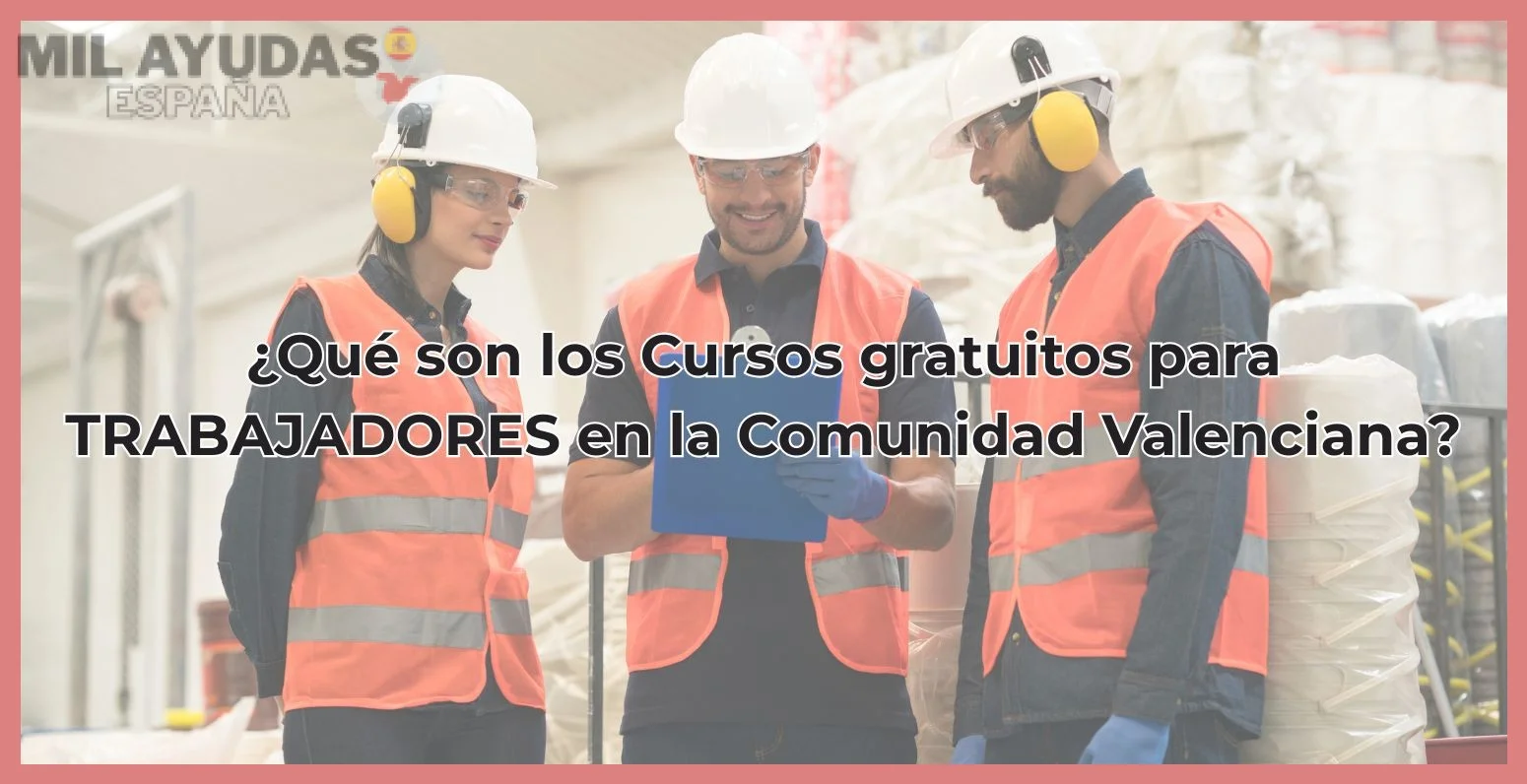 Características principales de los cursos