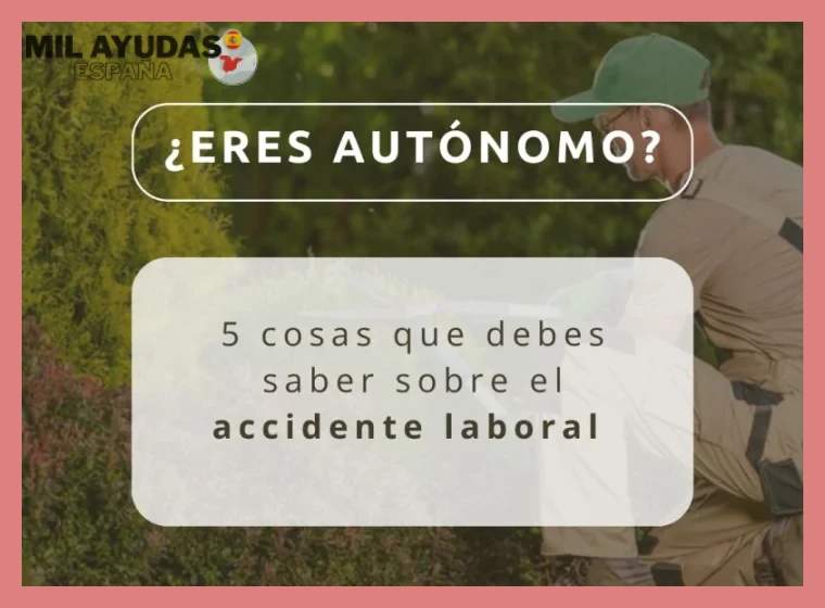 Definición y requisitos de la pluriactividad