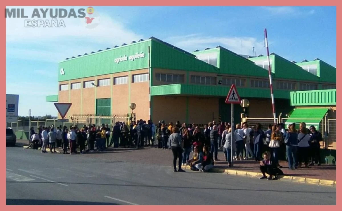 Documentación necesaria para la solicitud