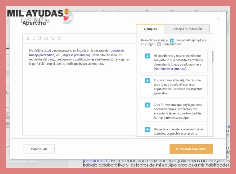 Elementos clave que debes incluir