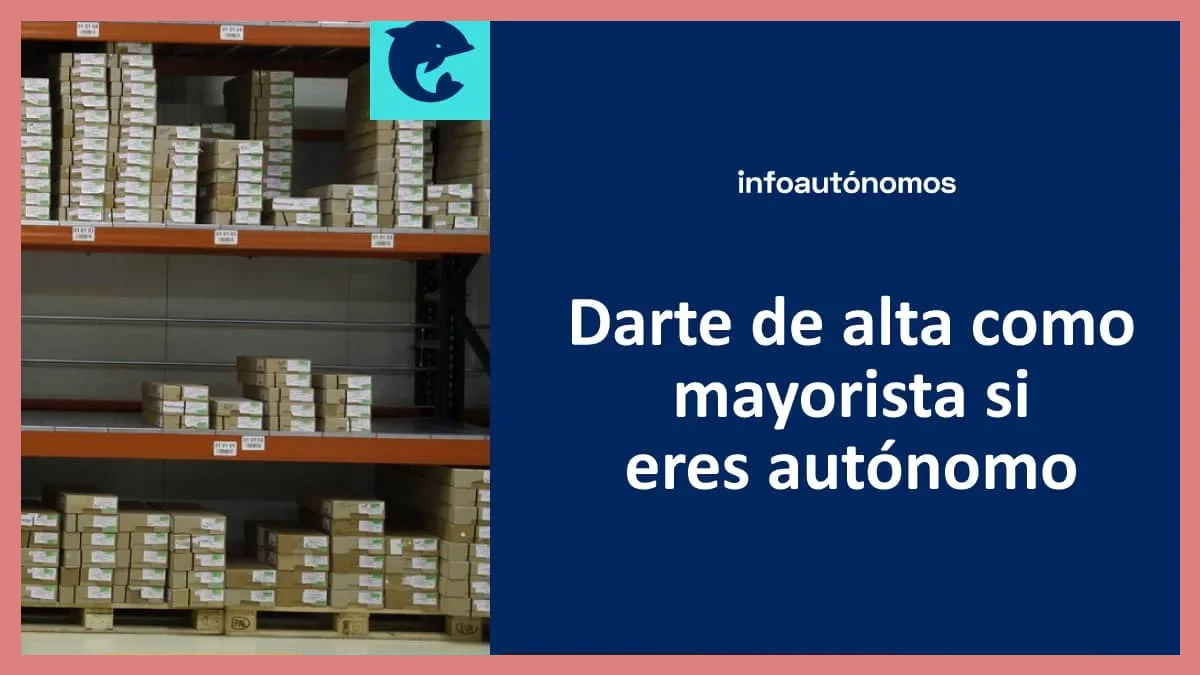 Guía Completa de Alta en IAE y Epígrafes para Autónomos Principiantes: Pasos y Tipos