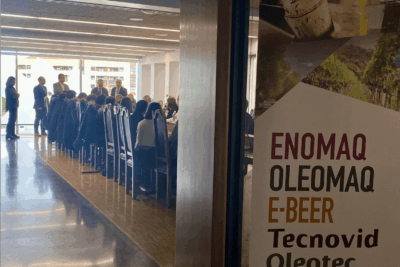 Guía rápida de ICEX para internacionalización de emprendedores: Todo lo que necesitas saber