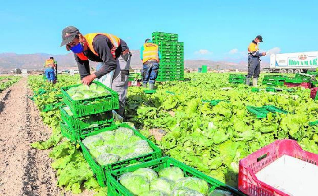 Subsidio para Trabajadores Eventuales Agrarios