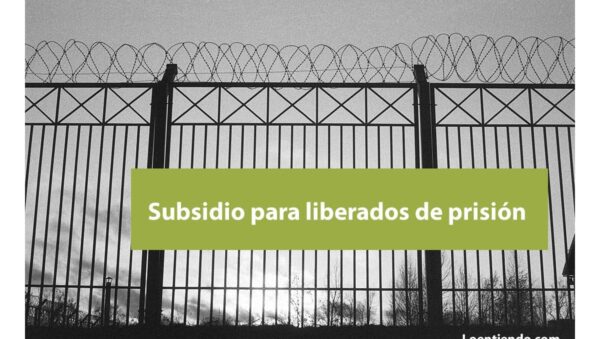 IMV ingreso mínimo vital requisitos y simulador rápido: Guía completa