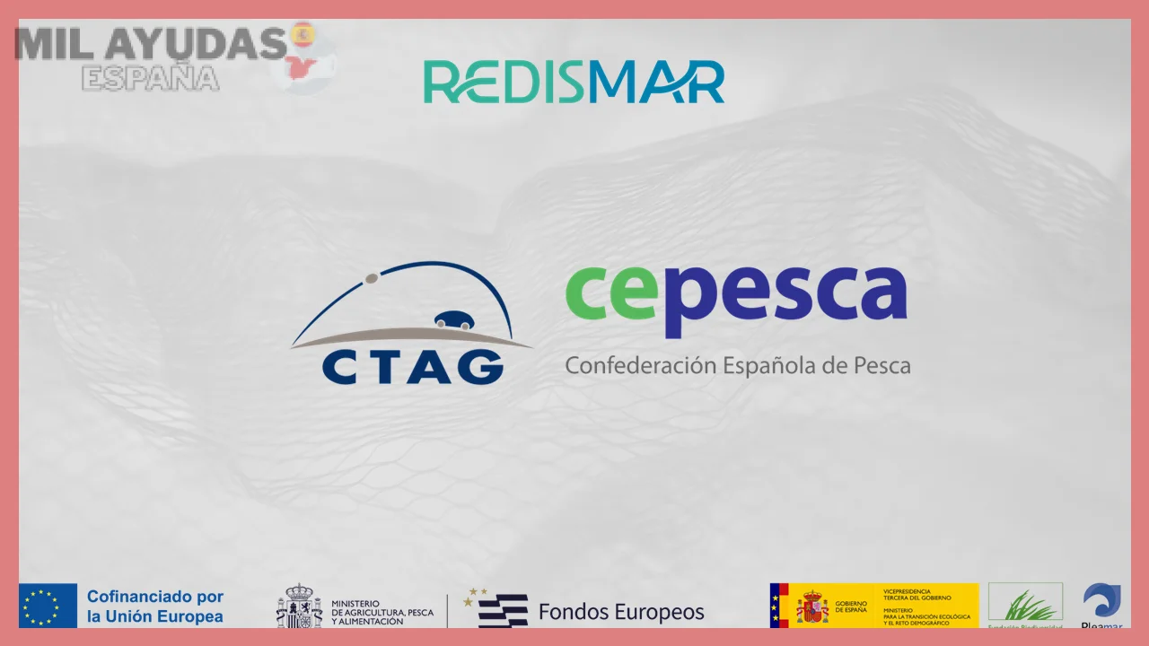 Información que te puede interesar