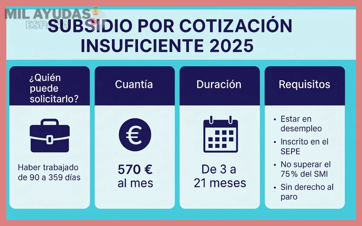 Pasos para solicitar el subsidio online y presencialmente