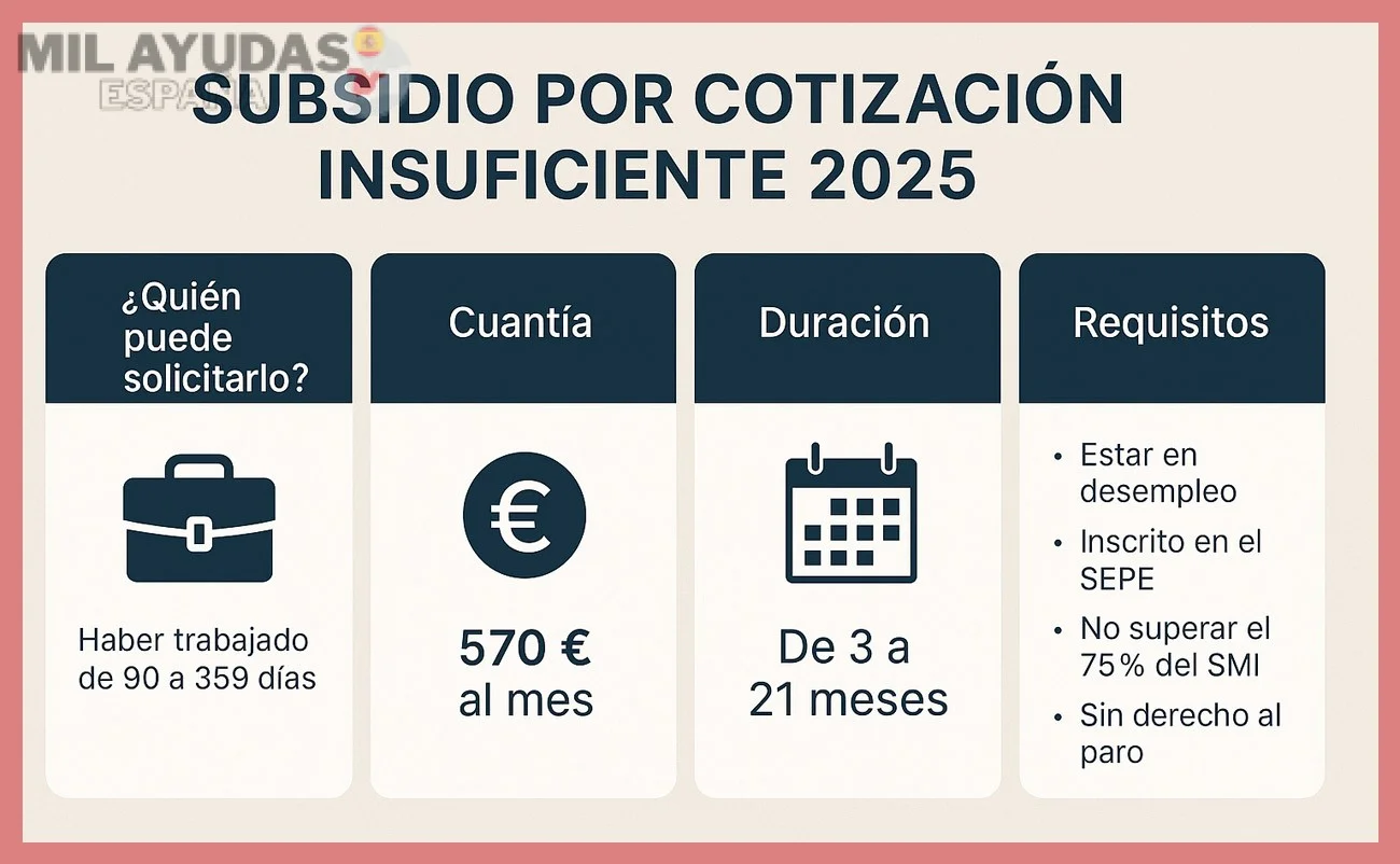 Plazos, seguimiento y resolución de la solicitud