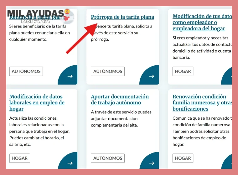 Plazos y consideraciones importantes al solicitar la Tarifa Plana