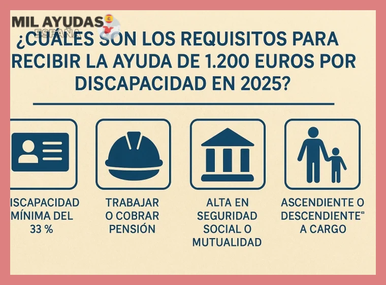 Plazos y Forma de Presentación