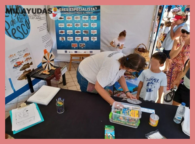 Plazos y procedimiento de solicitud