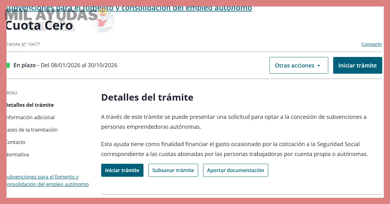 Plazos y procedimiento de solicitud para autónomas