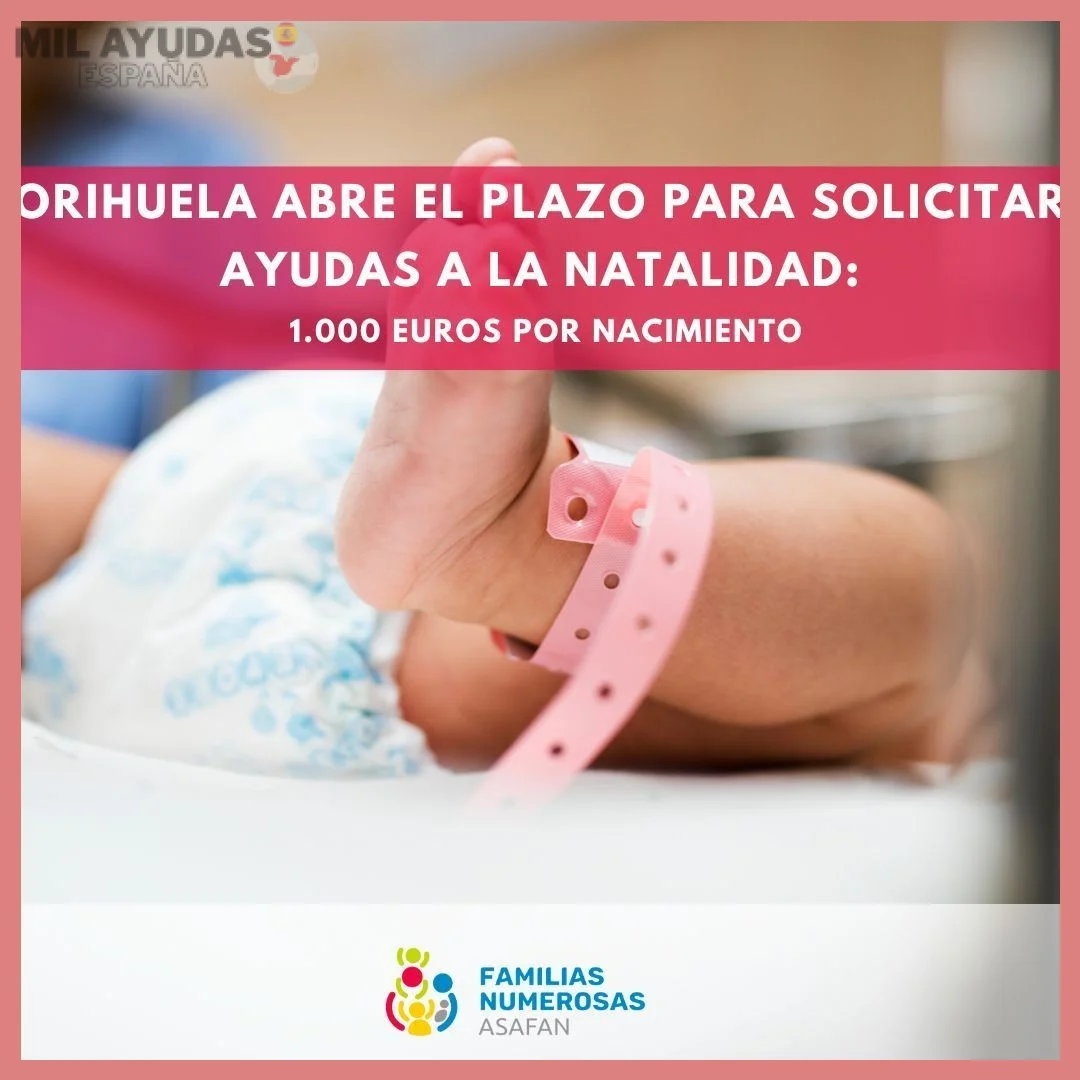 Procedimiento y plazos de solicitud