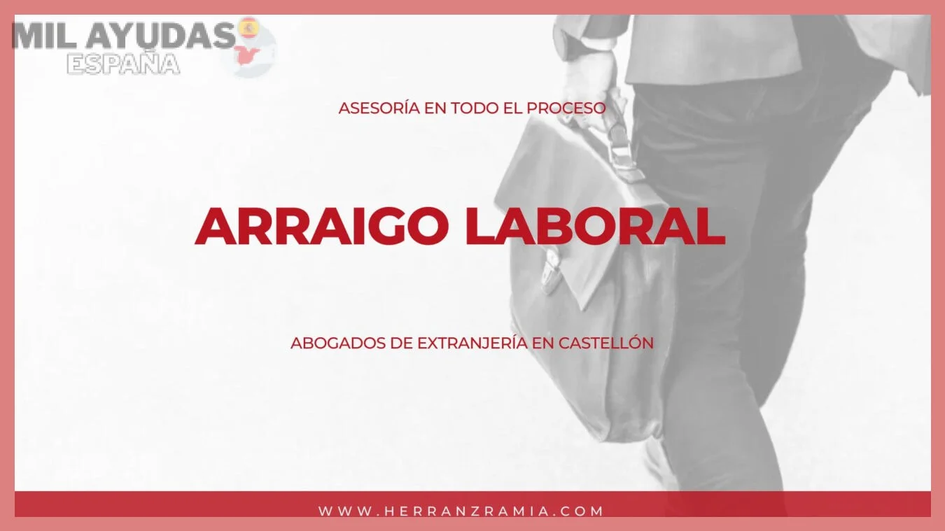 Procedimiento y plazos de tramitación