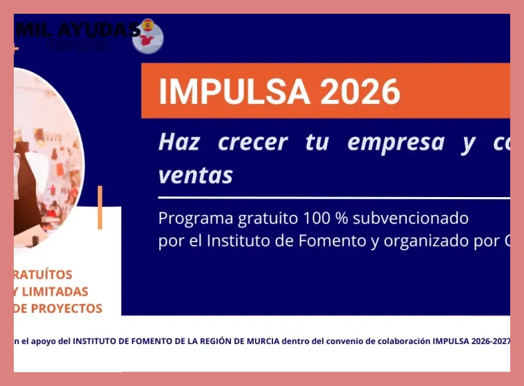 Programa ICEX Next