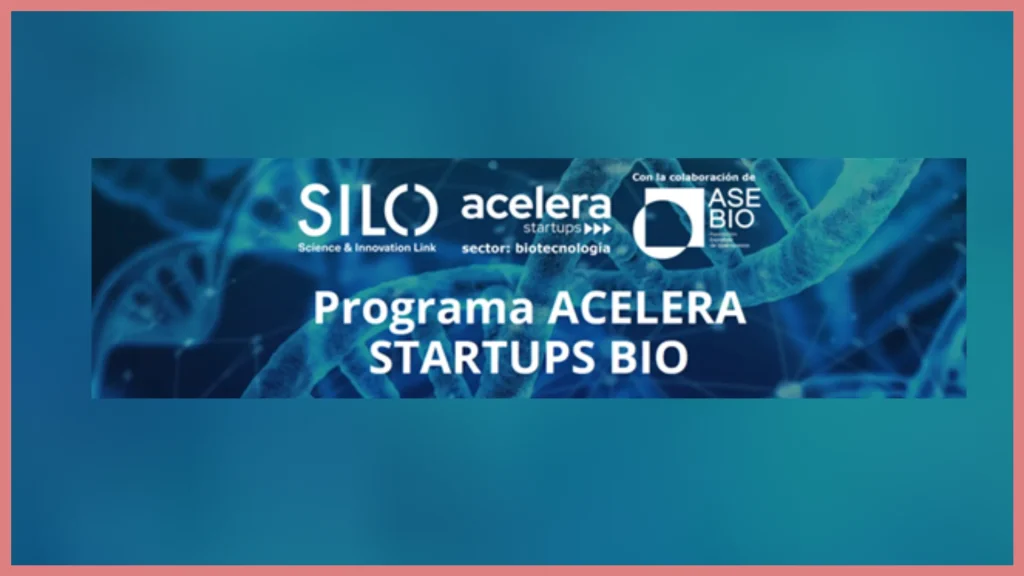 Programas de Aceleración e Incubación con Foco en Impacto