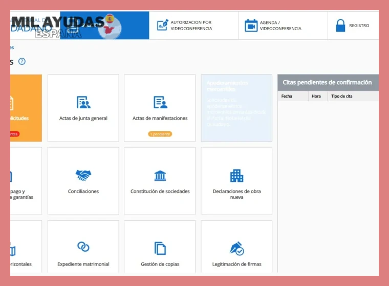 Recursos posteriores si la apelación es desestimada