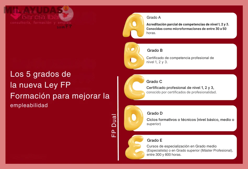 Requisitos para cursos SEPE de nivel intermedio en tecnología: Guía completa