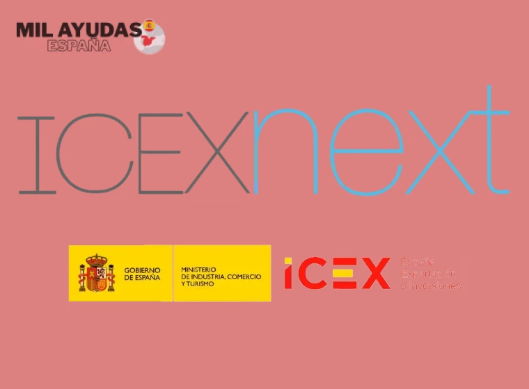 Servicios de Asesoramiento Especializado